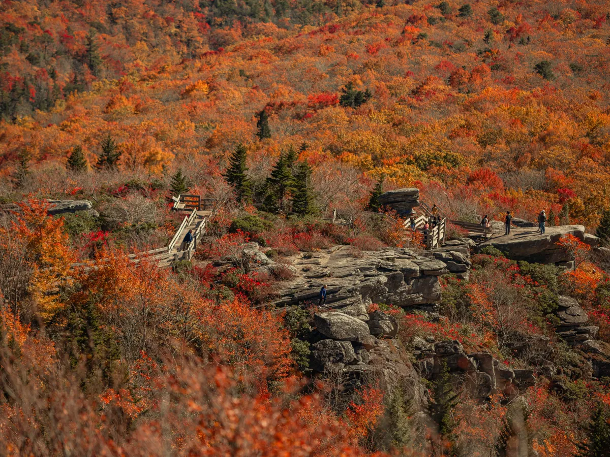 Blue Ridge Parkway overlook framed by orange and red autumn hardwoods